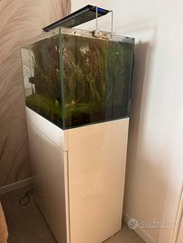Acquario AMTRA Tank 96 litri - vetro extrachiaro