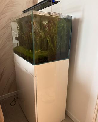 Acquario AMTRA Tank 96 litri - vetro extrachiaro