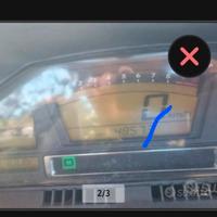 birgman 650  executive