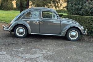 Maggiolino ragtop mod.117