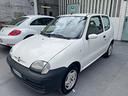 fiat-600-1-1-distribuzione-fatta