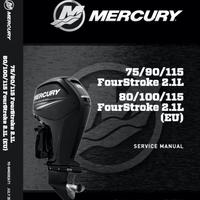Mercury 115 manuale manutenzione, Service