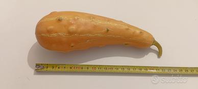 Zucchina gialla artificiale finto alta qualità