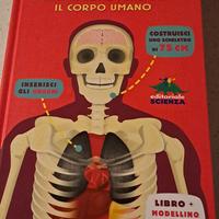 Gioco "Costruisci il tuo scheletro"