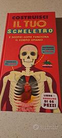 Gioco "Costruisci il tuo scheletro"