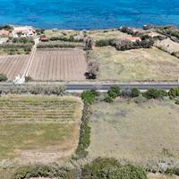 La tua Oasi privata a 300 mt. dal mare