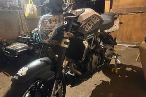 aprilia shiver