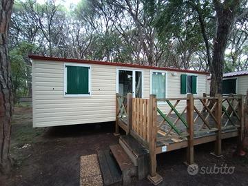 Shelbox 8x4 con 2 camere e 2 bagni