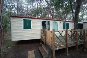 Shelbox 8x4 con 2 camere e 2 bagni