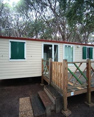 Shelbox 8x4 con 2 camere e 2 bagni