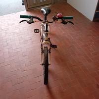 bicicletta per bambini 
