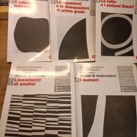 libro scuola  moduli di matematica 