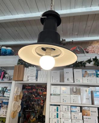 Lampada lampara