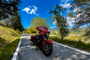 Harley Davidson Street Glide special