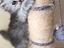 Immagine 5