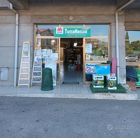 Attività Commerciale