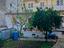 Immagine 27