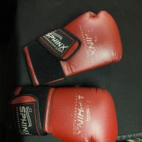 Guantoni boxe Sphinx + parastinchi