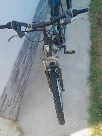 bicicletta