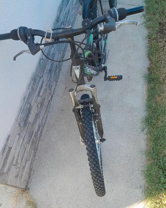 bicicletta