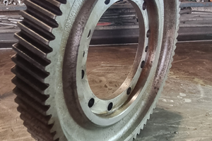 Mietitreb.arbos 565 corona dentata e crivelli