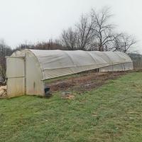 serra per ortaggi o piante