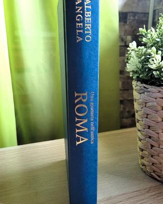 'Una giornata nell'antica Roma' Alberto Angela