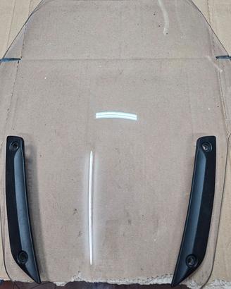Parabrezza Bmw C650/C600 sport