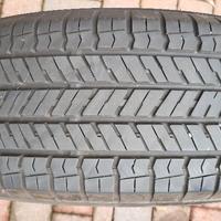 Gomma Geolandar 225 65R17