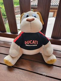 DUCATI