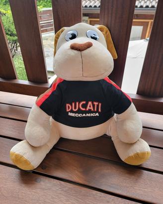 DUCATI