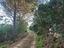 Immagine 28