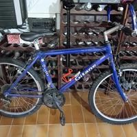 bici giant