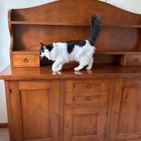 Credenza in noce con piattaia