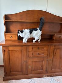 Credenza in noce con piattaia
