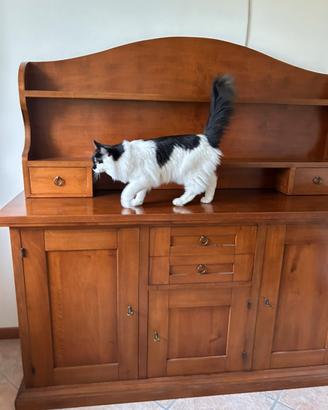 Credenza in noce con piattaia