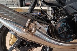 Giannelli extra v1 piaggio 