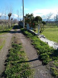 Terreno industriale