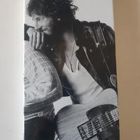 Bruce springsteen born to run