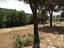 Immagine 23