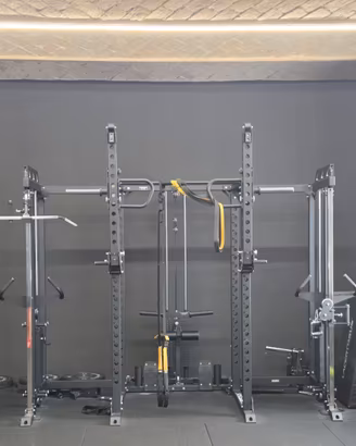 Palestra Lacertosus Multifunzione Professionale