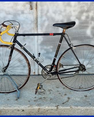Bici Vicini — Unità da Corsa