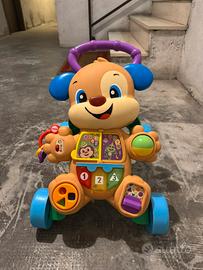 Cagnolino primi passi