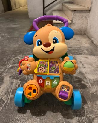 Cagnolino primi passi