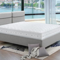 2 DUE Materassi matrimoniale Nuovi Molle + Memory