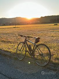 Bicicletta Willier Triestina Asolo XS