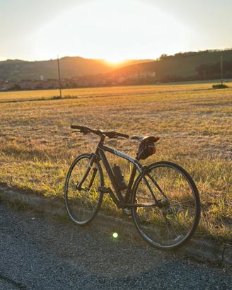 Bicicletta Willier Triestina Asolo XS