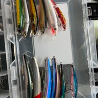 Esche light spinning