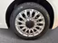 Immagine 6