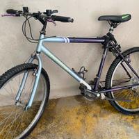 Mountain bike funzionante